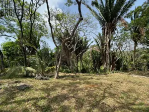 Prodej pozemku, Coxen Hole, Roatán, Honduras, 1884 m2