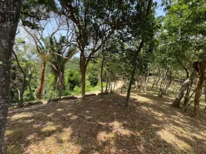 Prodej pozemku, Coxen Hole, Roatán, Honduras, 1884 m2