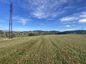 Prodej pole, Zdíkov, 2180 m2