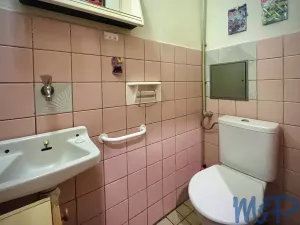 Pronájem bytu 3+1, Jihlava, Brtnická, 73 m2