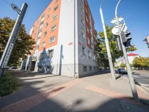 Pronájem bytu 3+1, Plzeň, Mánesova, 75 m2