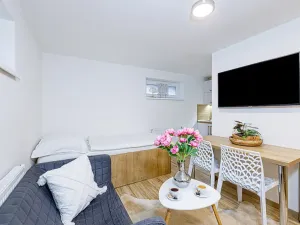Pronájem bytu 1+kk, Zlín, Vejvanovská, 20 m2