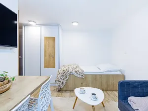 Pronájem bytu 1+kk, Zlín, Vejvanovská, 20 m2