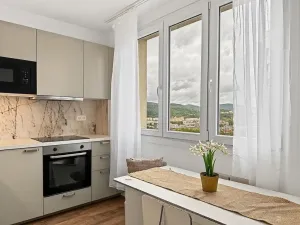 Prodej bytu 1+1, Ústí nad Labem - Střekov, Nová, 42 m2