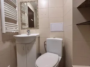 Pronájem bytu 4+1, Teplice, Revoluční, 89 m2