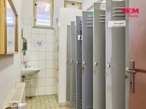Prodej výrobních prostor, Trutnov - Dolní Předměstí, Lomní, 350 m2