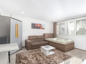 Prodej bytu 1+kk, Hradec Králové - Slezské Předměstí, Severní, 28 m2