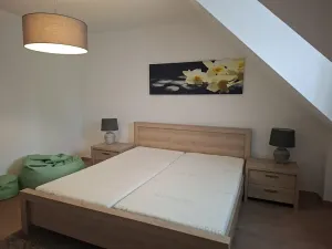 Pronájem rodinného domu, Staré Město, 180 m2