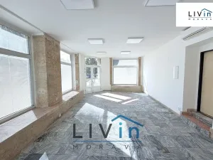 Pronájem obchodního prostoru, Olomouc, Smrčkova, 48 m2