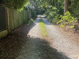 Prodej pozemku, Nová Ves pod Pleší, Ke Kapli, 1605 m2