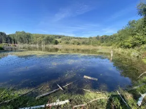 Prodej pozemku, Nová Ves pod Pleší, Ke Kapli, 1605 m2
