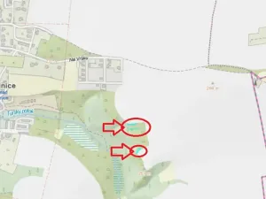 Prodej lesa, Kralupy nad Vltavou, 559 m2