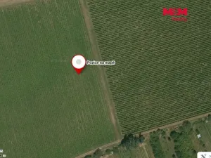 Prodej pole, Bzenec, 2653 m2