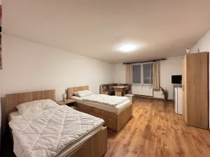 Prodej vícegeneračního domu, Dubí, Údolí, 450 m2