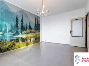 Prodej bytu 2+1, Rakovník, Pod Václavem, 54 m2
