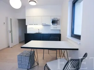 Pronájem bytu 1+kk, Praha - Karlín, U Mlýnského kanálu, 36 m2