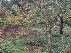 Prodej vícegeneračního domu, Dobromilice, 156 m2