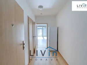 Pronájem bytu 1+kk, Olomouc, Rokycanova, 43 m2