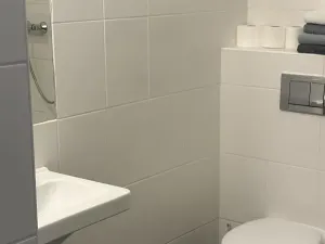 Prodej vícegeneračního domu, Hradec Králové, Všehrdova, 260 m2