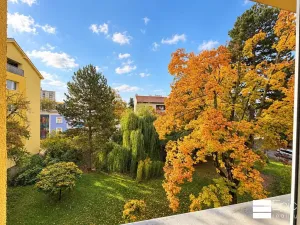 Pronájem bytu 1+kk, Neratovice, Masarykova, 23 m2