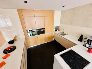 Prodej bytu 4+kk, Brno, Dřevařská, 172 m2