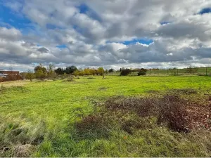 Prodej komerčního pozemku, Tachlovice, 6000 m2