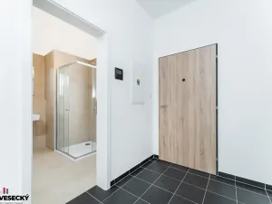Prodej bytu 1+kk, Plzeň, Železná, 38 m2
