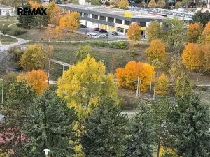 Prodej bytu 3+1, Brno, 73 m2