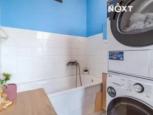 Prodej bytu 3+1, České Budějovice, L. M. Pařízka, 58 m2