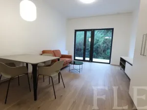 Pronájem bytu 1+kk, Praha - Žižkov, Hartigova, 38 m2