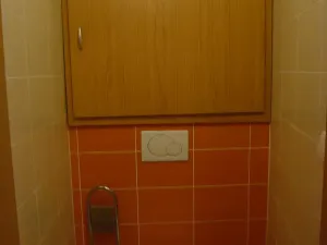 Prodej bytu 2+kk, Brno, Vinohrady, 55 m2