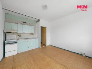 Prodej bytu 1+kk, Teplice - Trnovany, U Vlastního krbu, 19 m2