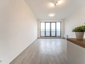 Pronájem bytu 1+kk, Brno, Opuštěná, 29 m2