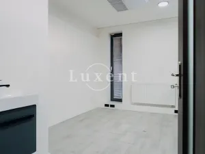 Pronájem obchodního prostoru, Praha - Žižkov, Jeseniova, 105 m2