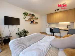 Pronájem bytu 1+kk, Praha - Chodov, Drahňovická, 32 m2