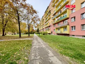 Prodej bytu 1+1, Havířov - Podlesí, Kosmonautů, 36 m2