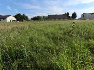 Prodej pozemku pro bydlení, Zbizuby, 1000 m2