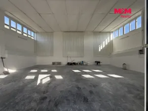 Pronájem skladu, Petřvald, Podlesní, 119 m2