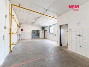 Pronájem výrobních prostor, Neratovice, Mánesova, 235 m2