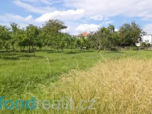Prodej pozemku, Petrůvka, 1688 m2