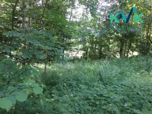 Prodej pozemku, Nejdek, 3489 m2