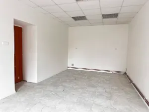 Pronájem obchodního prostoru, Nový Jičín, Dolní brána, 22 m2