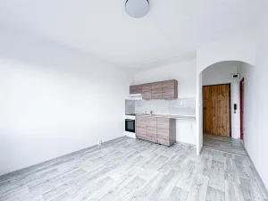 Pronájem bytu 1+1, Klášterec nad Ohří, Olšová, 34 m2