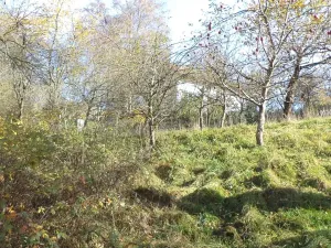 Dražba pozemku pro bydlení, Nové Hrady, 813 m2