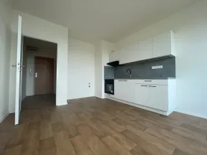 Pronájem bytu 1+kk, Ústí nad Labem, Sociální péče, 24 m2