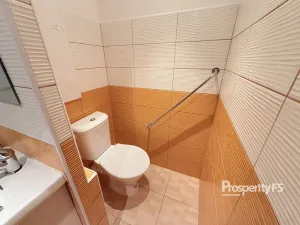 Pronájem bytu 1+1, Ústí nad Labem - Střekov, Tolstého, 37 m2