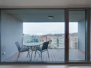 Pronájem bytu 4+kk, Praha - Vinohrady, Mánesova, 130 m2