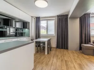 Pronájem bytu 2+kk, Praha - Vinohrady, Moravská, 92 m2