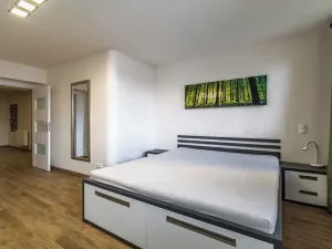 Pronájem bytu 2+kk, Praha - Vinohrady, Moravská, 92 m2