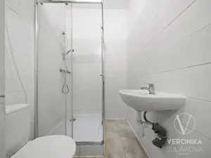Prodej bytu 1+1, Ústí nad Labem, Žukovova, 45 m2